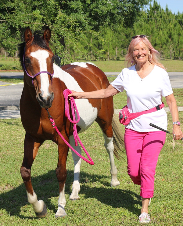 pine ridge horse property